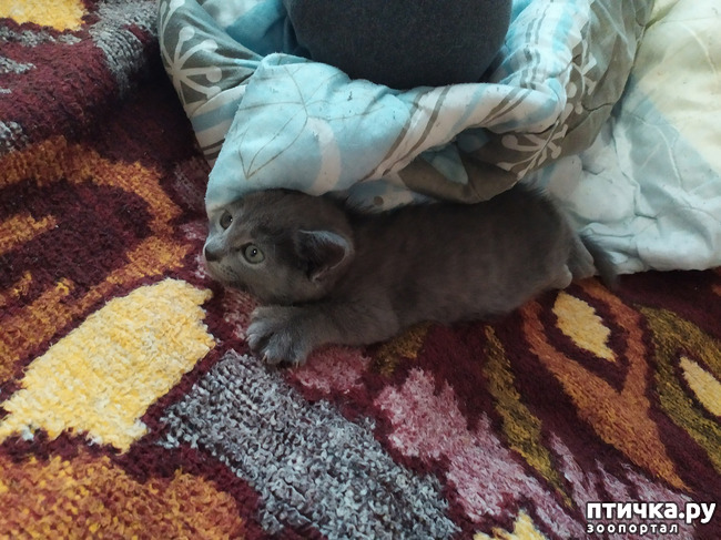 ���� 1: ������� �� ����