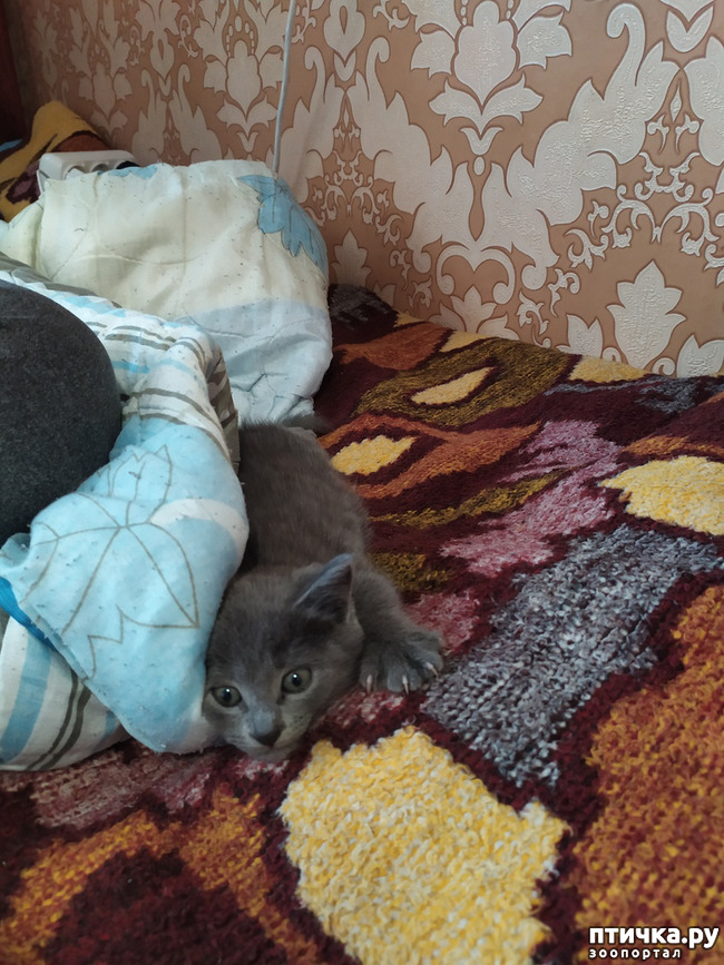 ���� 2: ������� �� ����