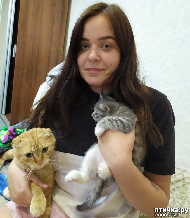 ���� 3: ������� �� ����