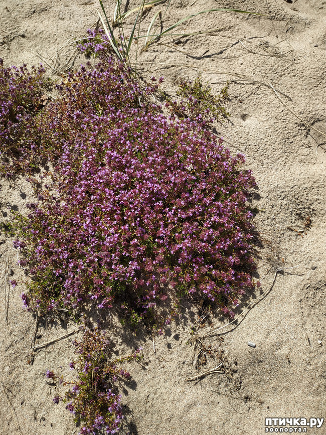 ���� 11: �������, ����� ����