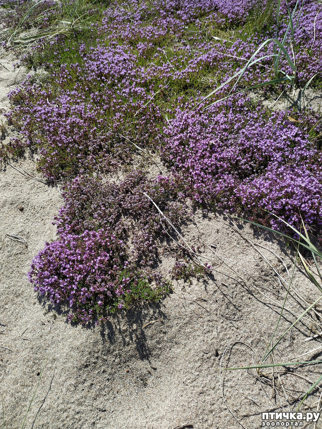 ���� 10: �������, ����� ����