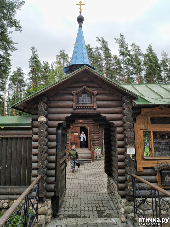 ���� 2: �������, ����� ����