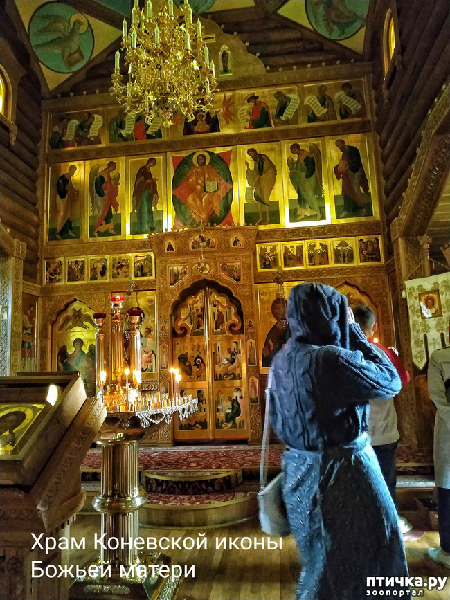 ���� 4: �������, ����� ����