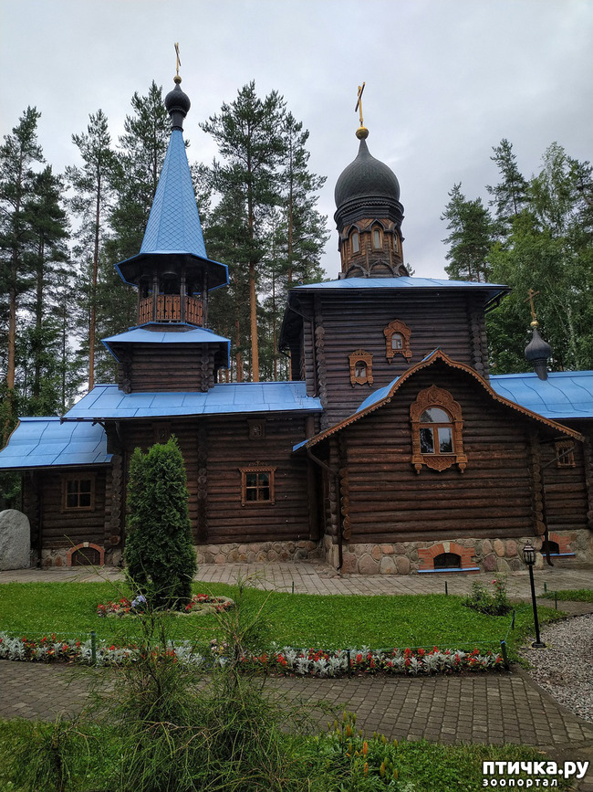 ���� 3: �������, ����� ����