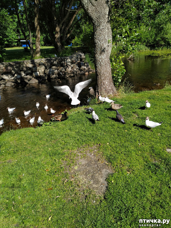 ���� 12: �������, ����� ����