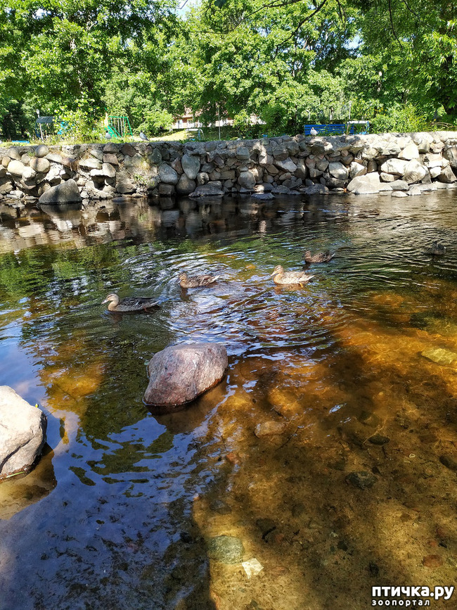 ���� 13: �������, ����� ����