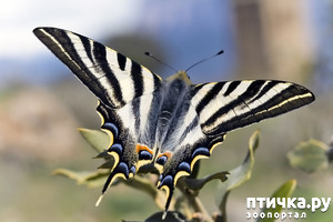 ����: ��� ����� ��������� ������� ������ ��� ������.