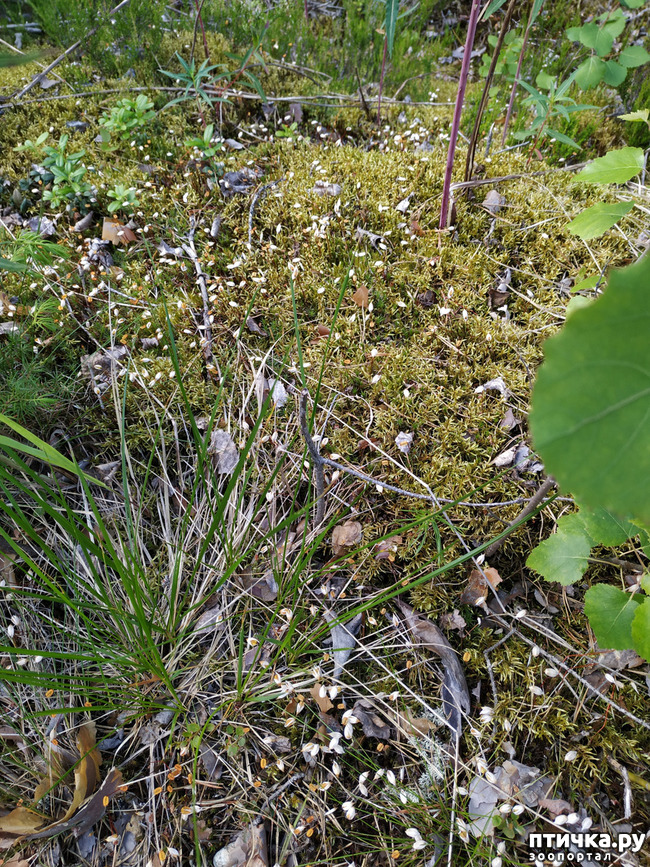 ���� 14: �������, ����� ����