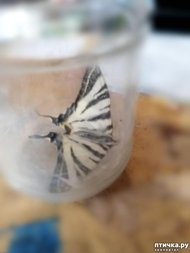 ���� 2: ��� ����� ��������� ������� ������ ��� ������.