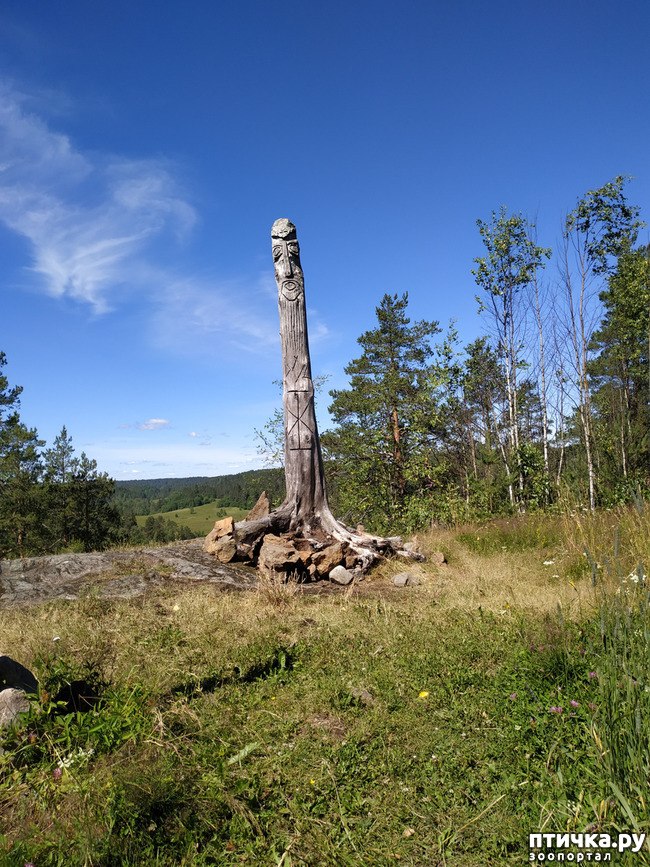 ���� 5: �������, ����� ����