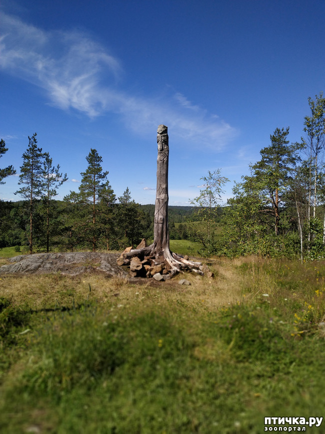 ���� 7: �������, ����� ����