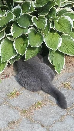 ����: ����� ����� ������