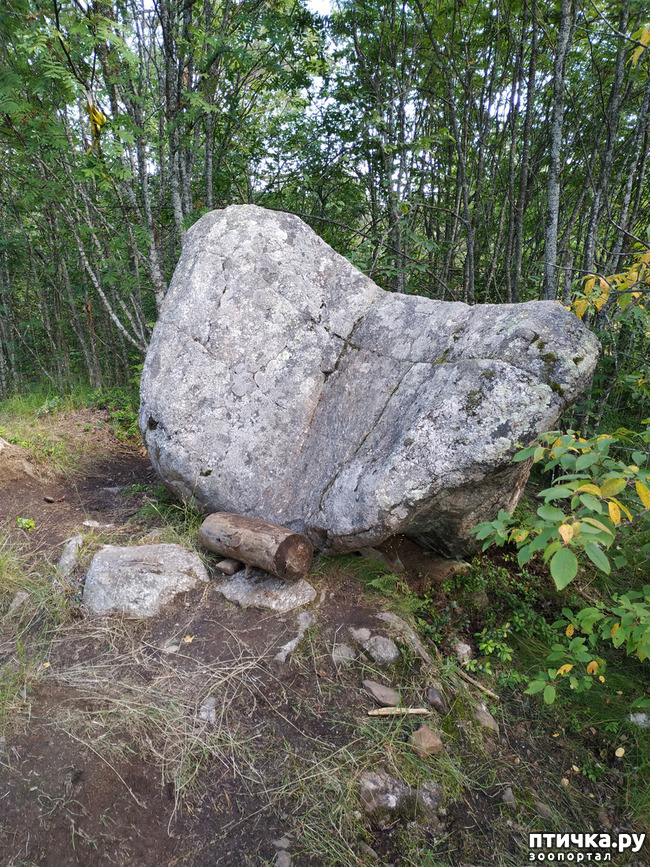 ���� 8: �������, ����� ����