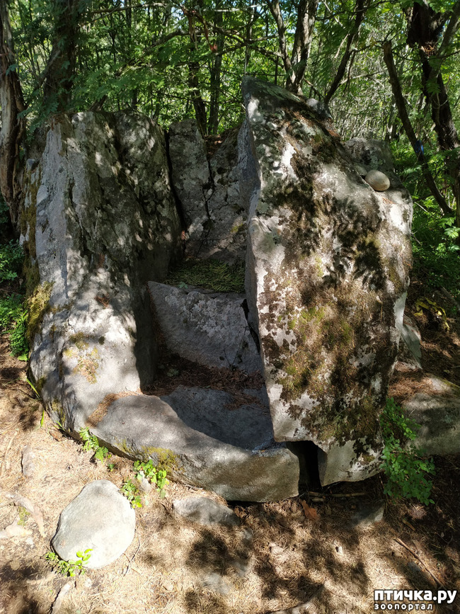 ���� 9: �������, ����� ����