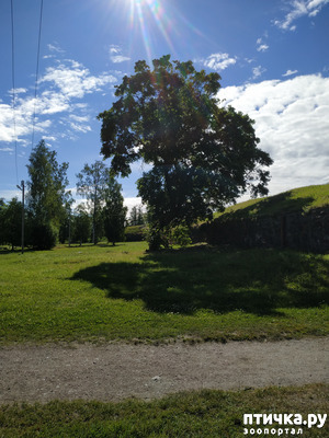 ����: �������, ����� ����