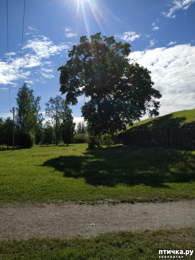 ���� 1: �������, ����� ����