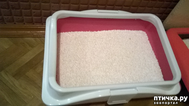 ���� 4: �����, ���� � �. �����-����� - ������� � �������.