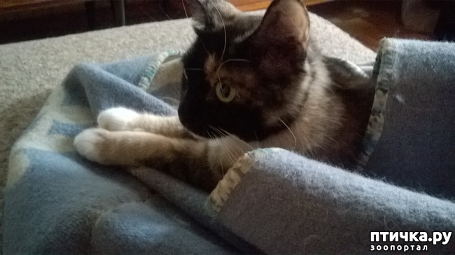 ���� 5: �����, ���� � �. �����-����� - ������� � �������.