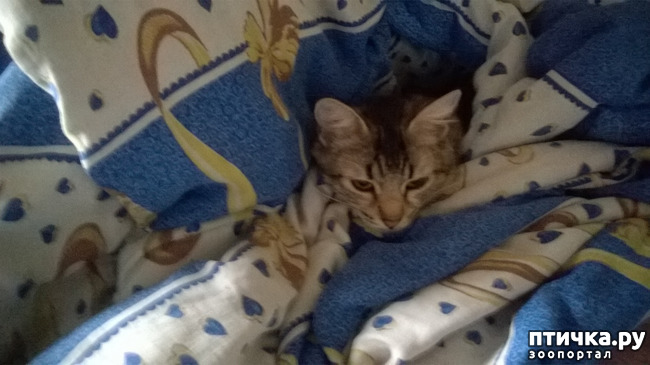 ���� 6: �����, ���� � �. �����-����� - ������� � �������.