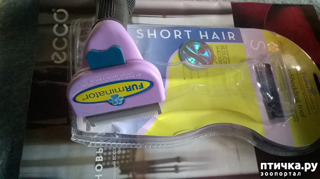 ���� 3: �����, ���� � �. �����-����� - ������� � �������.