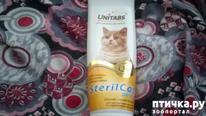 ����: �����, ���� � �. �����-����� - ������� � �������.