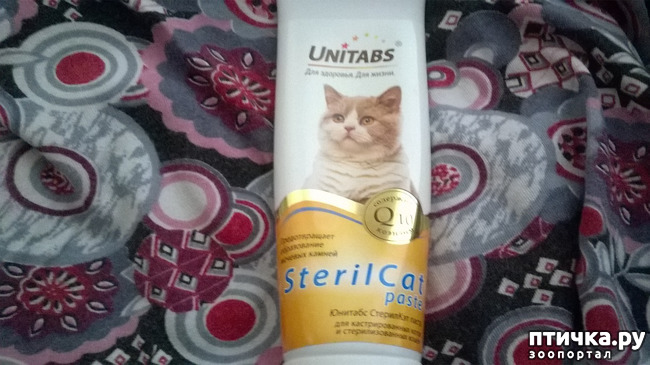 ���� 1: �����, ���� � �. �����-����� - ������� � �������.