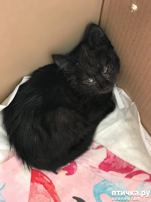 ����: ��������!