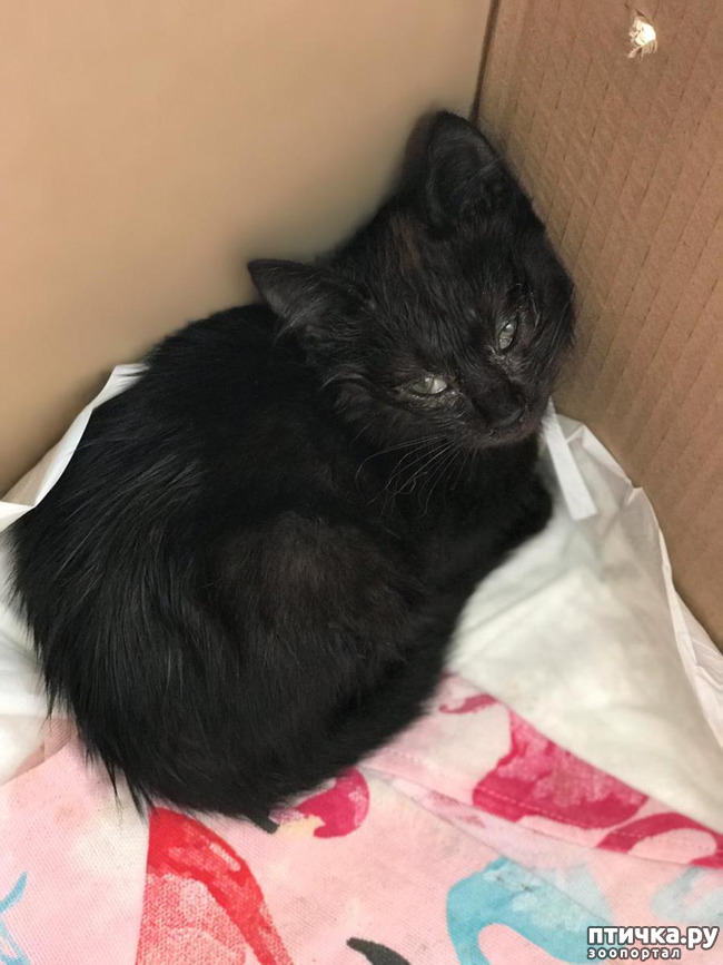 ���� 1: ��������!