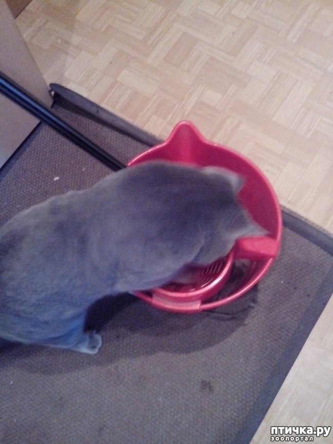 ���� 2: ���� ������ �� ����