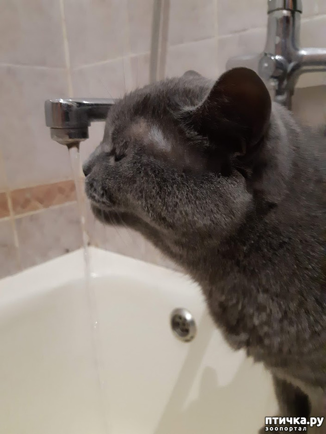 ���� 4: ���� ������ �� ����