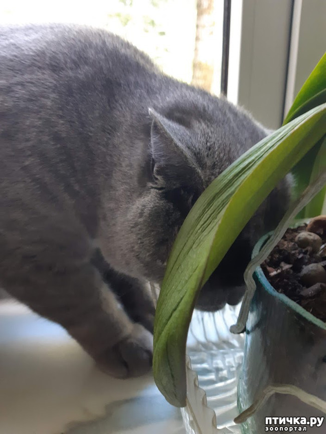 ���� 6: ���� ������ �� ����