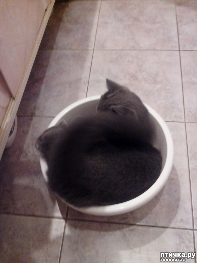 ���� 5: ���� ������ �� ����