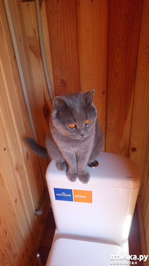 ����: ���� ������ �� ����