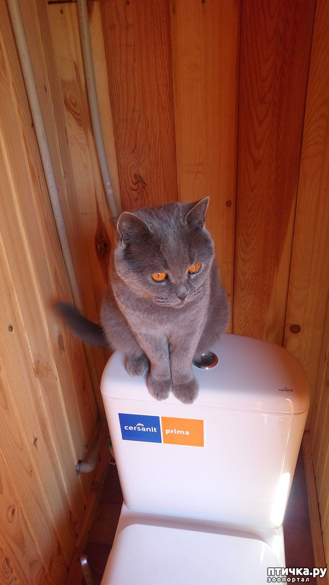 ���� 1: ���� ������ �� ����