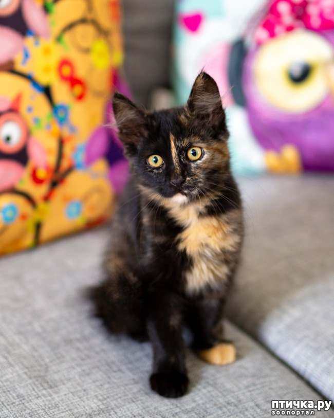 ���� 1: ����.