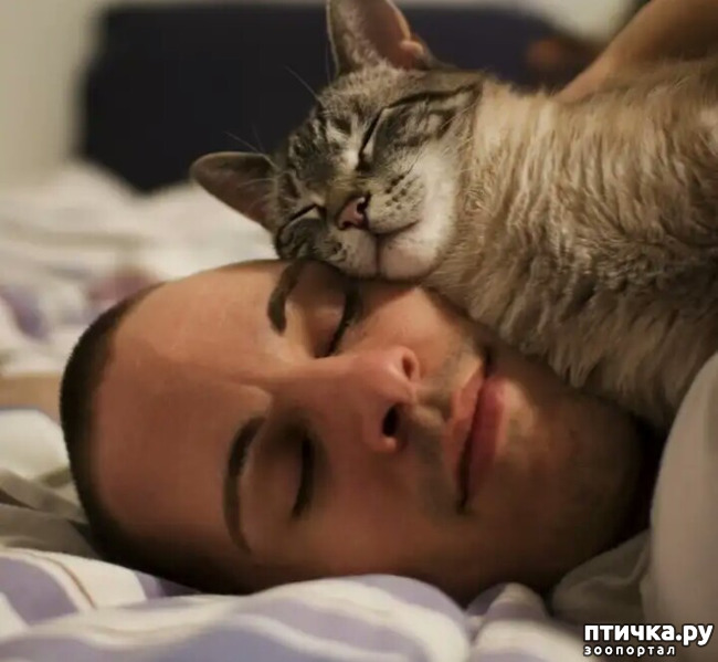 ���� 16: ����������� ���� �� ����