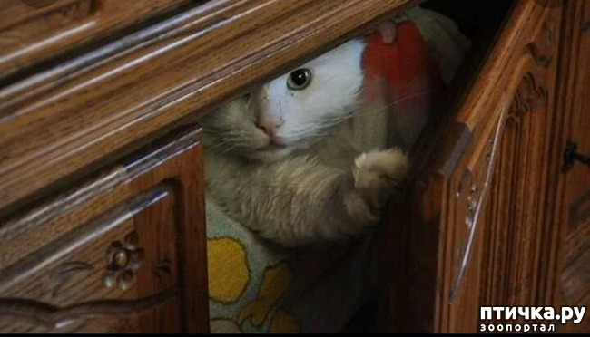 ���� 14: ����������� ���� �� ����