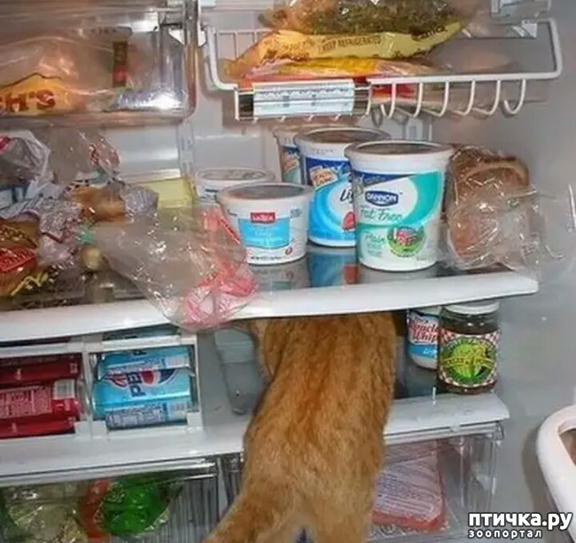 ���� 4: ����������� ���� �� ����