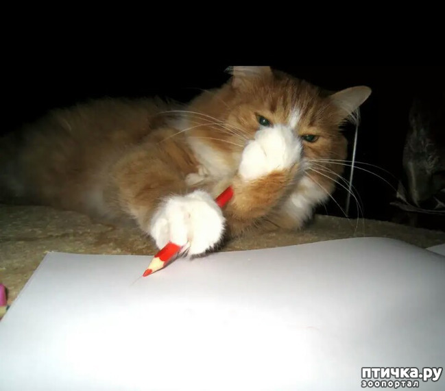 ���� 3: ����������� ���� �� ����