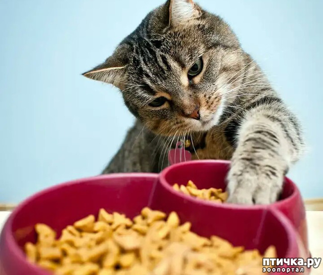 ���� 12: ����������� ���� �� ����