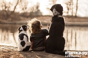 ����: �� ���� � ������ ��� ������...