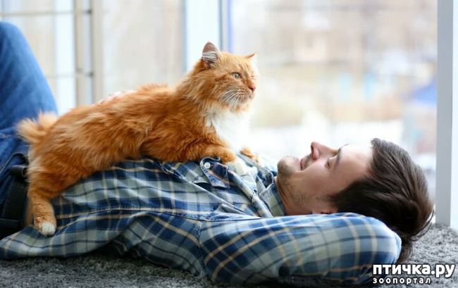 ���� 9: ����������� ���� �� ����