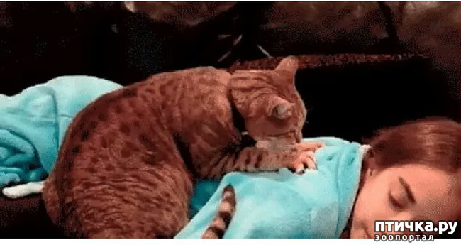 ���� 11: ����������� ���� �� ����