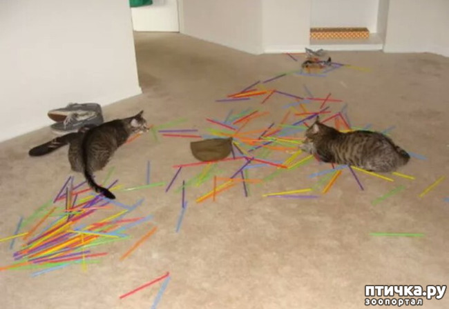 ���� 2: ����������� ���� �� ����