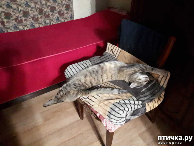 ���� 17: ����������� ���� �� ����