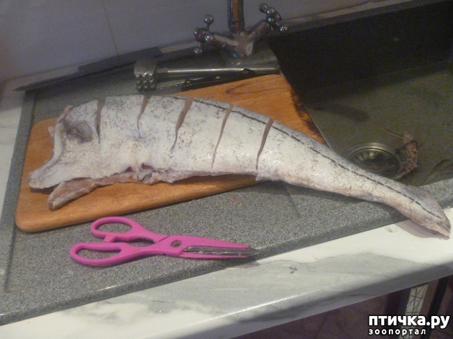 ���� 1: ���� �������� �������