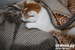 ����: ����� � �����