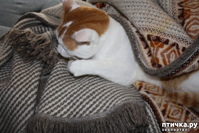 ���� 1: ����� � �����