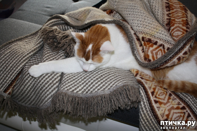 ���� 2: ����� � �����