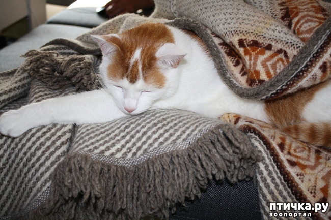 ���� 3: ����� � �����